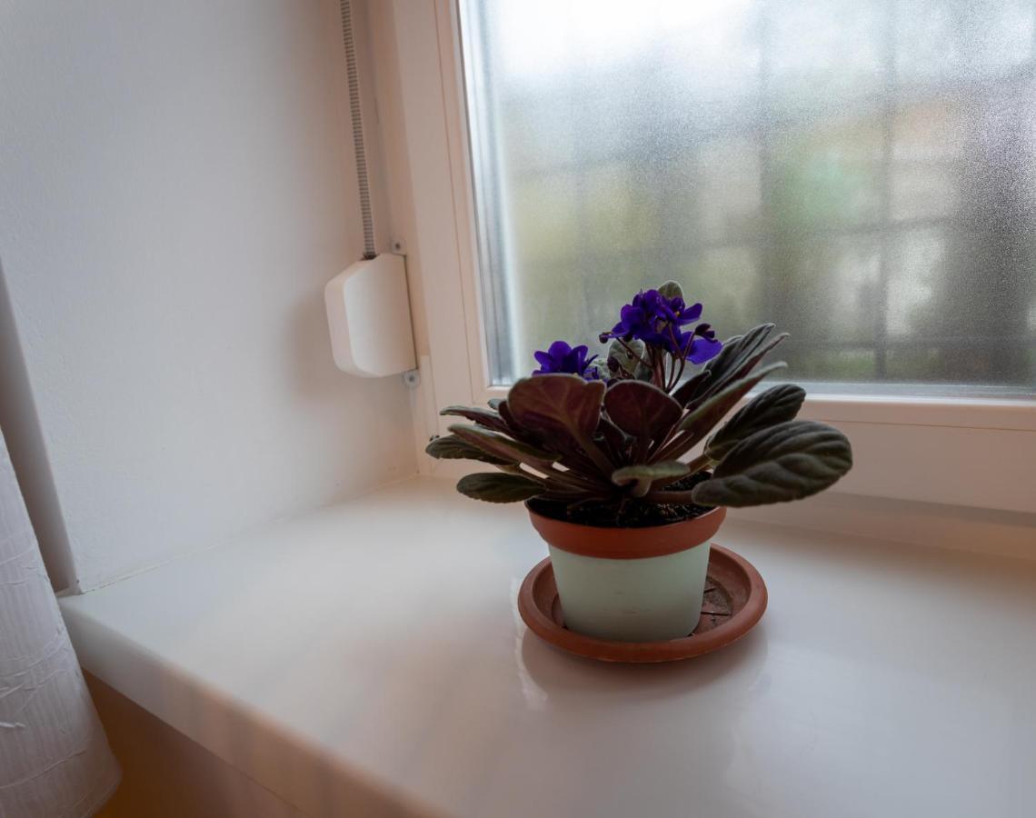 Sunbird Apartman Budapest Ngoại thất bức ảnh